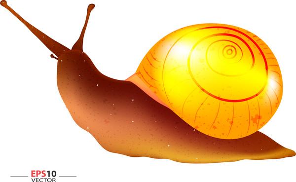 golden snail