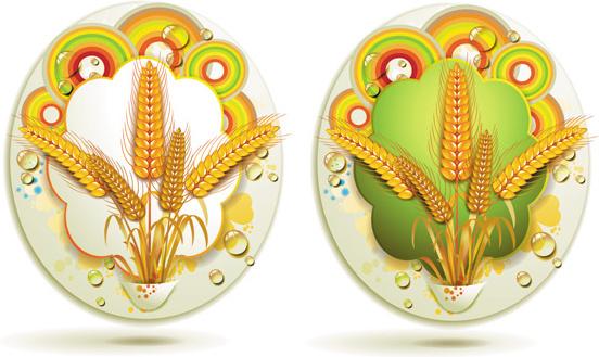 golden wheat creative background vector