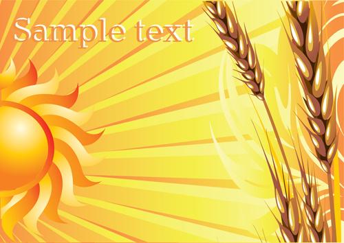 golden wheat vector background set
