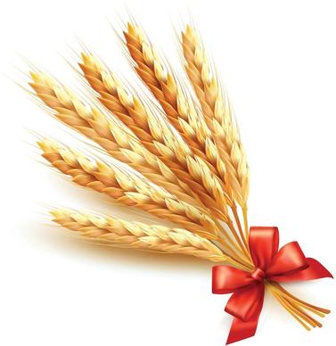 golden wheat with red ribbon vector background