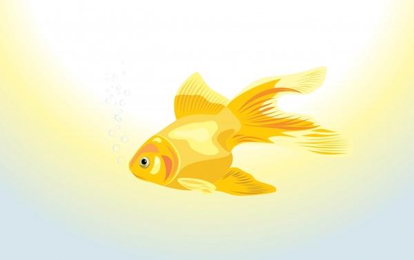 goldfish painting bright colored modern sketch