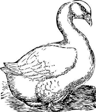 Goose clip art