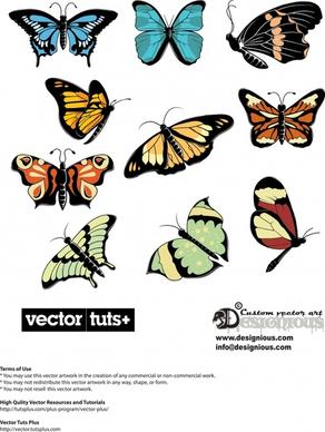 butterflies species icons colorful flat sketch