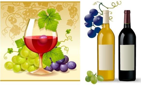 grape and wine vector