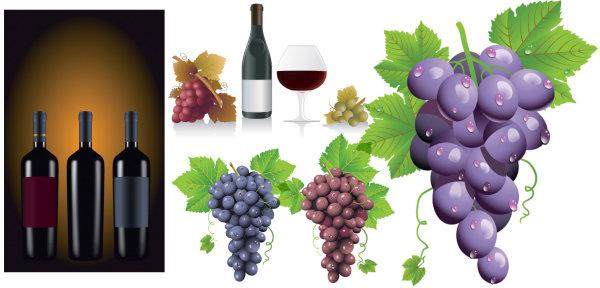 grape and wine vector graphic