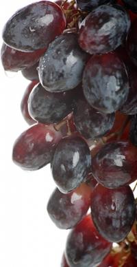 grape hd picture 1