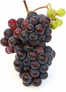 grape hd picture 5