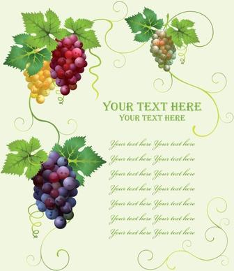 grape pattern 02 vector