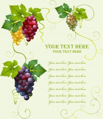 grape wine menu background colorful modern design