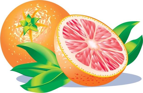 orange fruit icon multicolored 3d design