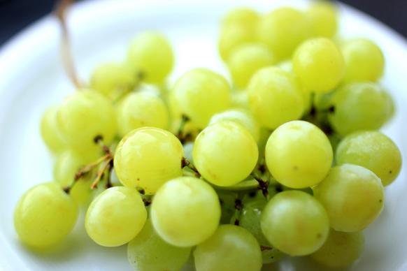 grapes weintrauben