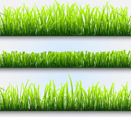 grass and flowers decoration elements vector