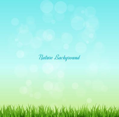 grass and sky nature background