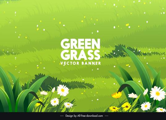 grass background template elegant blooming flowers decor