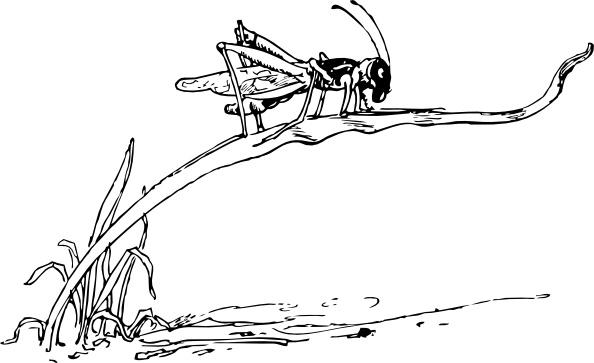 Grasshopper On Blade Of Grass clip art