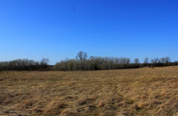 grasslands landscape at kettle moraine south wisconsin