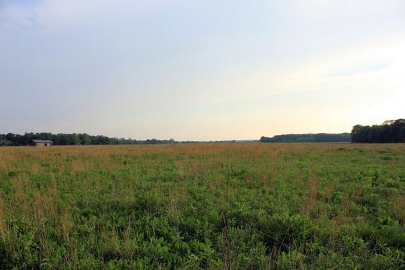 grassy prairie at prophetstown state park indiana