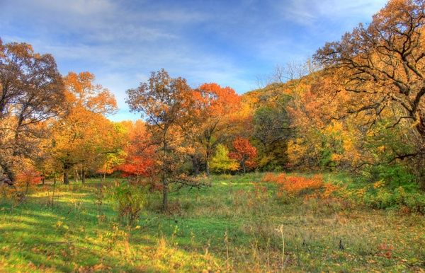 great colorful autumn landscape at perrot state park wisconsin