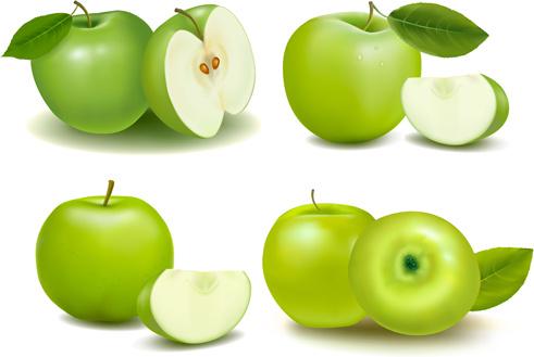 green apple with slice vectors