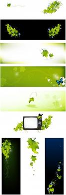 green background butterfly tv vector