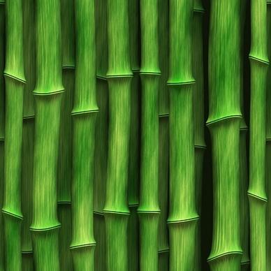 green bamboo background picture