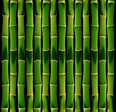 green bamboo background picture 2