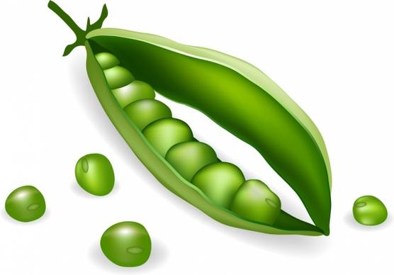 green bean background 3d sketch