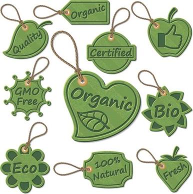 green eco tags vector design