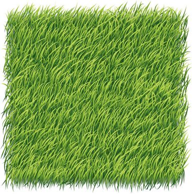 green grass art backgrounds vector