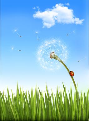 green grass with dandelion natural elements vector