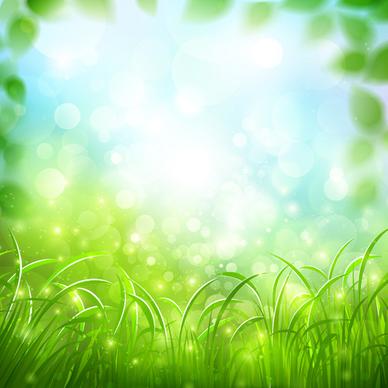 green grass with halation background vector