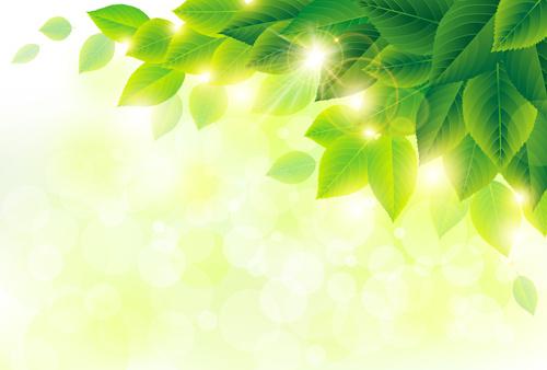 green leaf with halation background vector