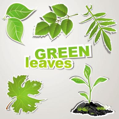 green leaves design elements vector