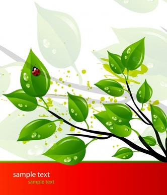 ecology background wet green leaves ornament