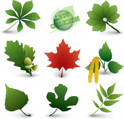 natural leaf icons modern colored shapes sketch