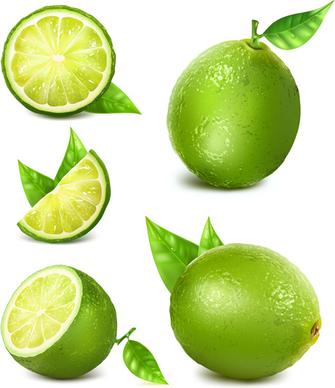 green lemon vector
