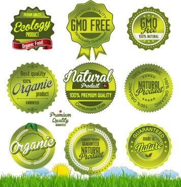 green natural labels and badges vector
