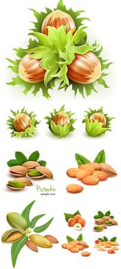 green nuts design vector