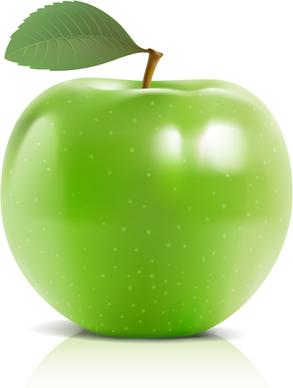 green vector apple food graphics