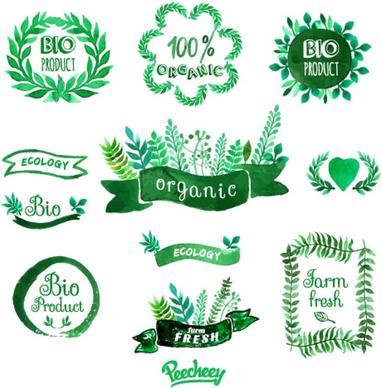 green watercolor stickers