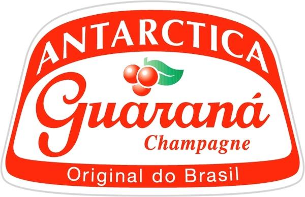 guarana champagne