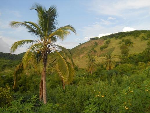 haiti landscape mountains