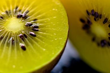 half cut kiwi backdrop picture eelgant closeup