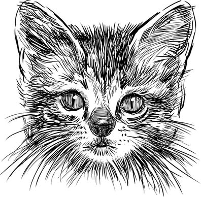 hand drawing black kittens vector
