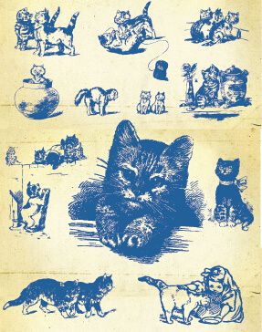 hand drawing vintage kittens vector