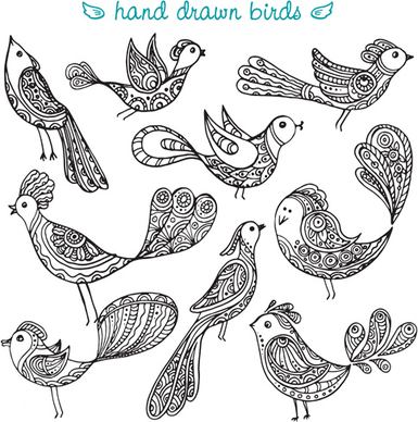 hand drawn birds vector set