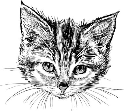 hand drawn cats head vector set