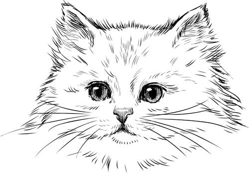 hand drawn cats head vector set