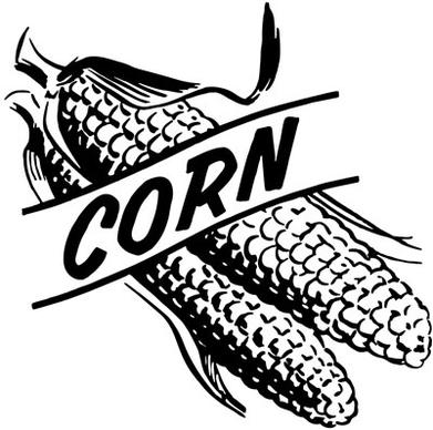 hand drawn corn vector design