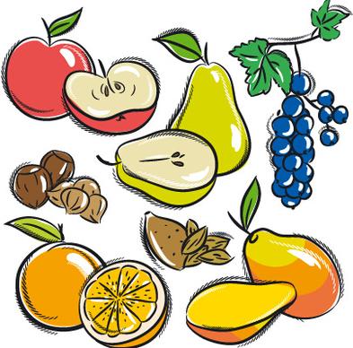 hand drawn fruits graphics vector